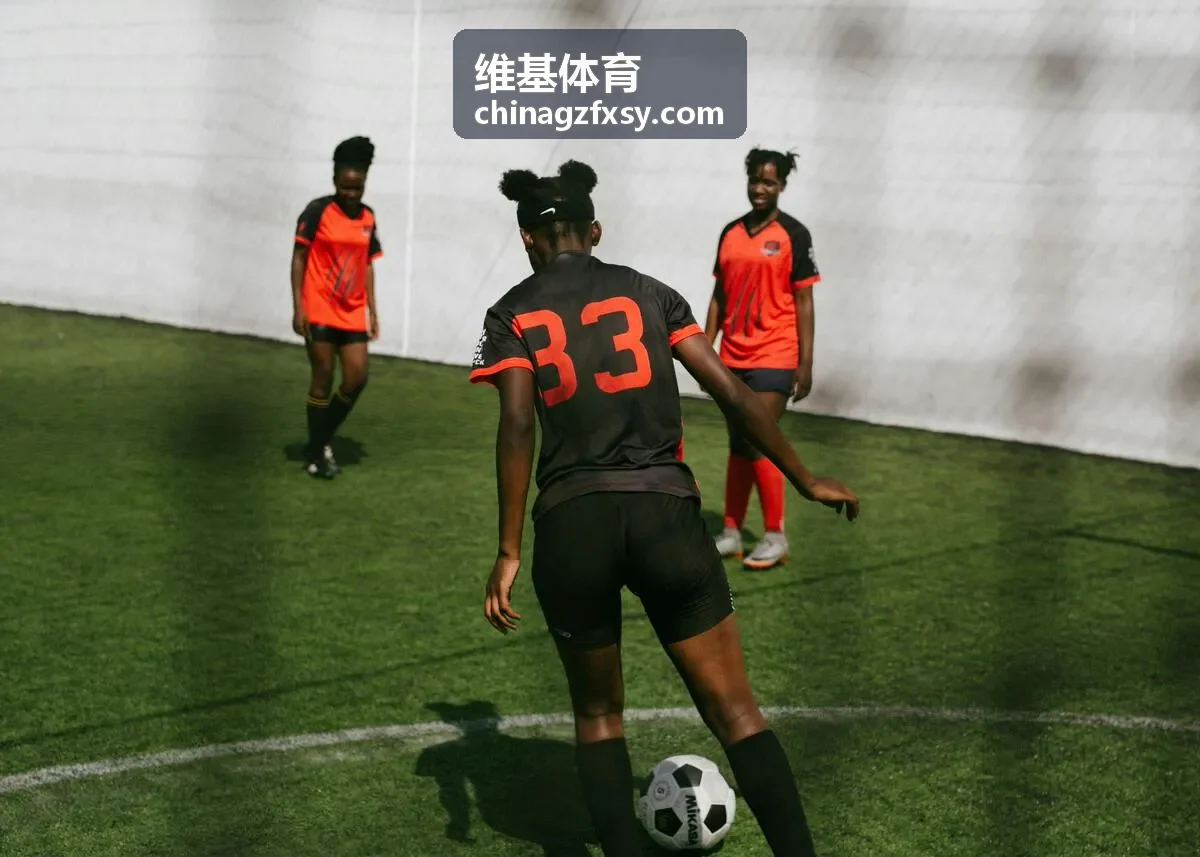 维基体育案例4